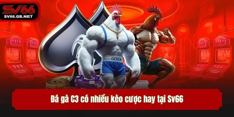 Đá gà C3 có nhiều kèo cược hay tại Sv66