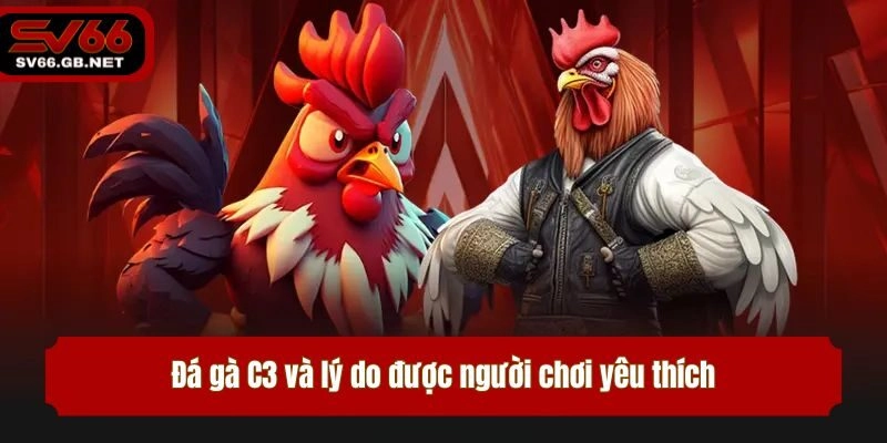Đá gà C3 và lý do được người chơi yêu thích
